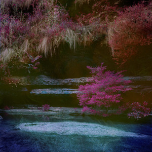 司马ゆうじ动画官方网站
